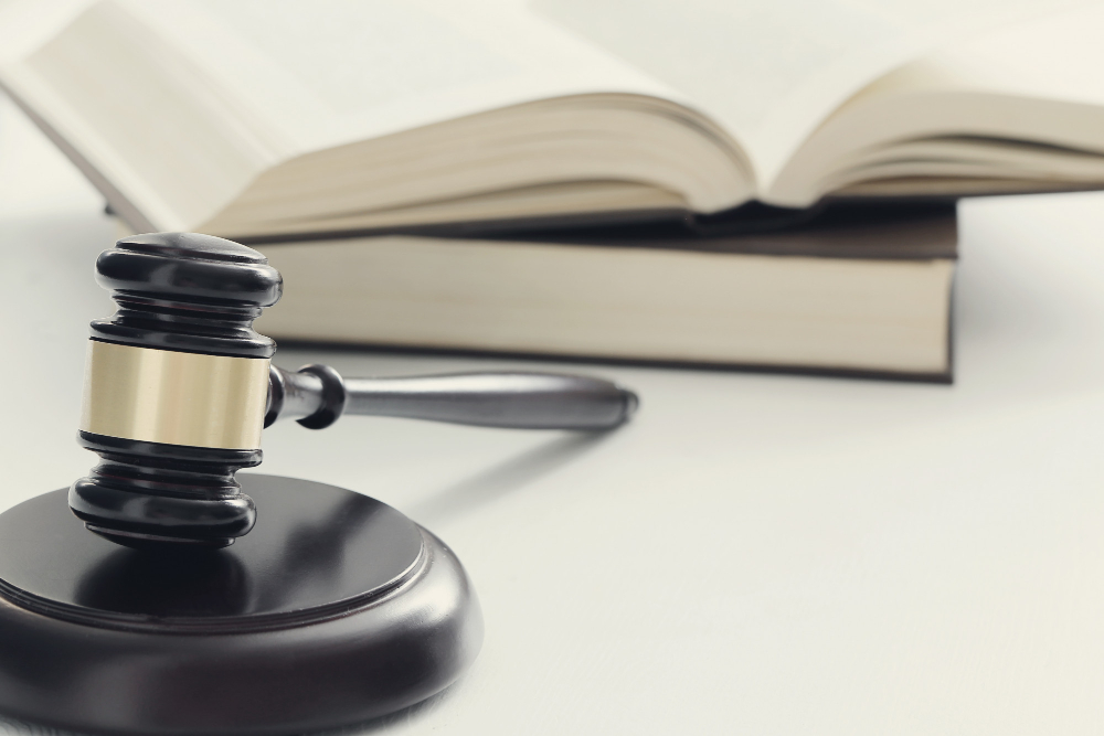 El derecho a la tutela judicial efectiva: aplicación en inspecciones